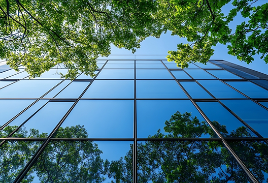 sustainability
