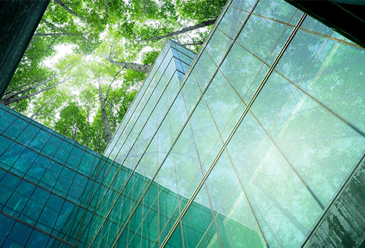 sustainability